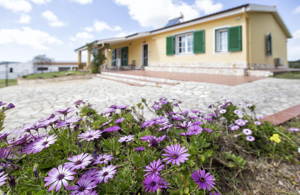 Villa Raimonda Putifigari Extérieur photo